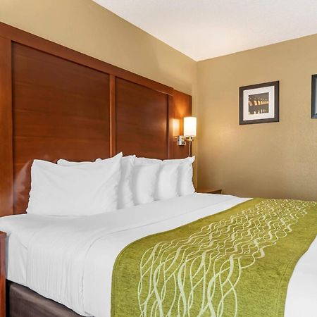 Comfort Inn Msp Airport - Mall Of America Bloomington Luaran gambar